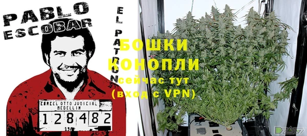 a pvp Горняк