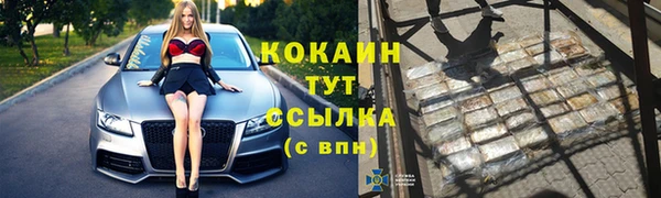 сатива Горнозаводск