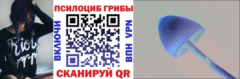 мориарти формула  Железногорск  Галлюциногенные грибы мухоморы 