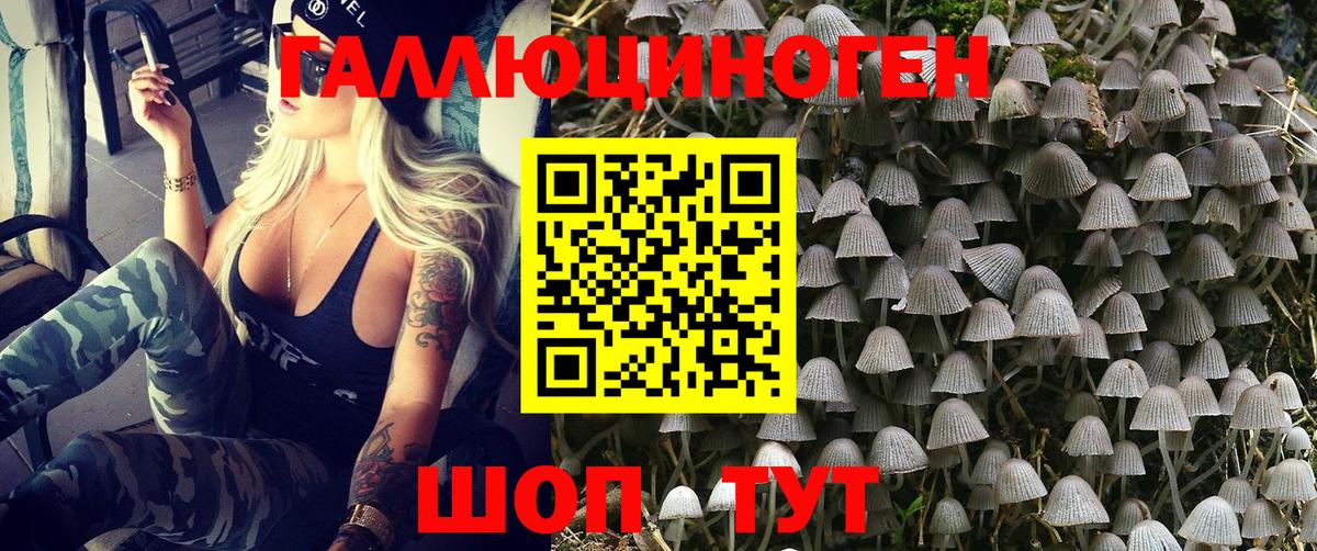 Железногорск  Псилоцибиновые грибы Cubensis  Псилоцибиновые грибы MAGIC MUSHROOMS  Вход с VPN 