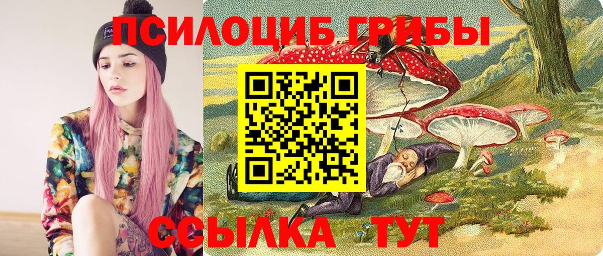 Галлюциногенные грибы Cubensis Железногорск