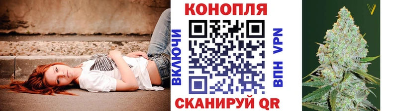 Бошки марихуана OG Kush Железногорск